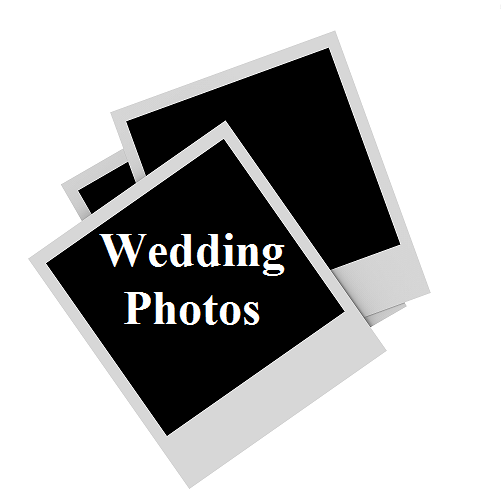 Wedding Photos Icon